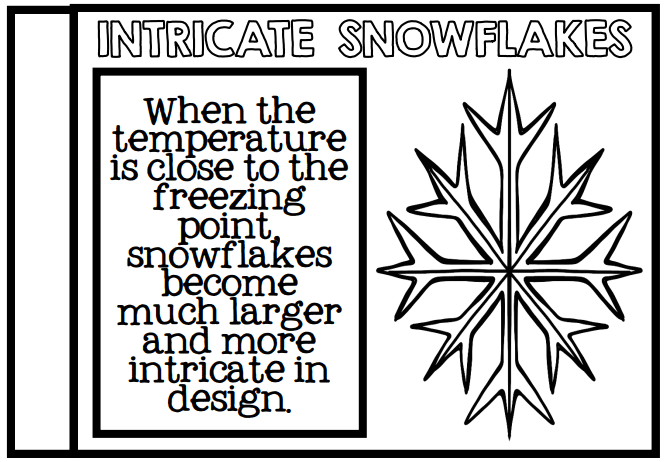 Snowflake activities