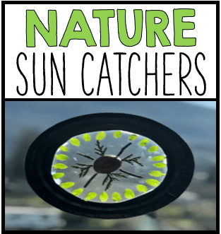 Nature Crafts: Sun Catchers