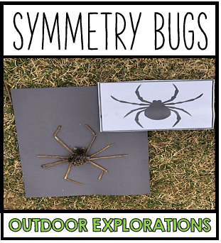 Outdoor Education Activity – Symmetry Bugs