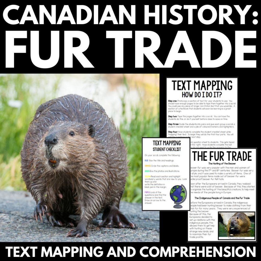 Fur trade teaching ideas