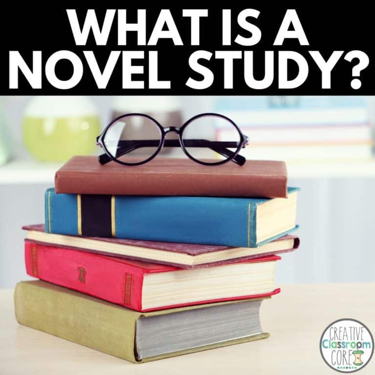 What is a novel study?