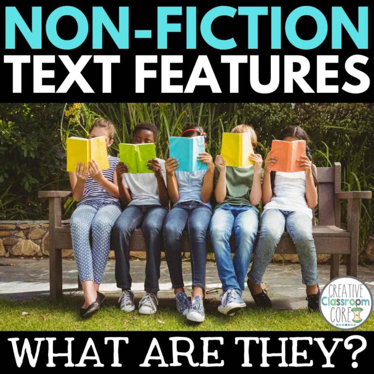 What is a Text Feature?