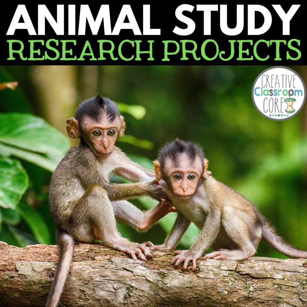 Two young monkeys sit on a log surrounded by lush green foliage. Text above reads "Animal Study Research Projects," perfect for a classroom exploration or a celebration of World Wildlife Day.